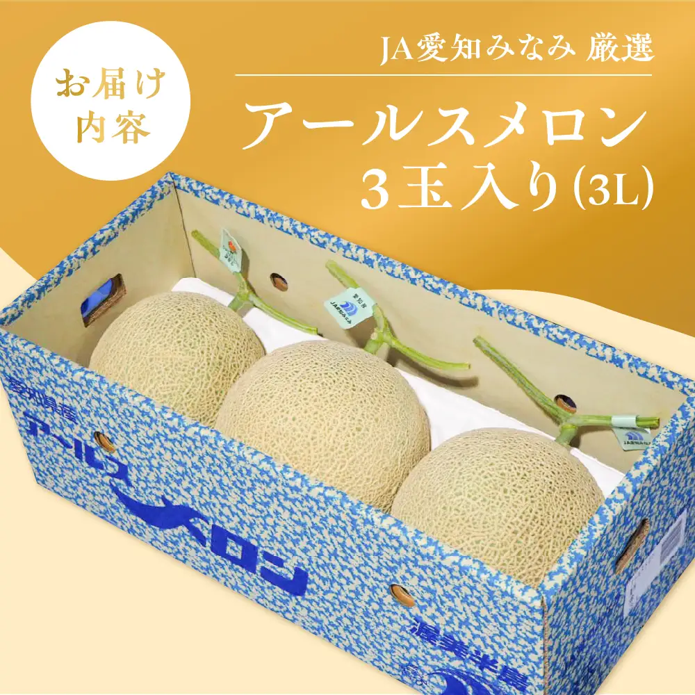 【先行予約】アールスメロン 3玉 メロン JA愛知みなみ