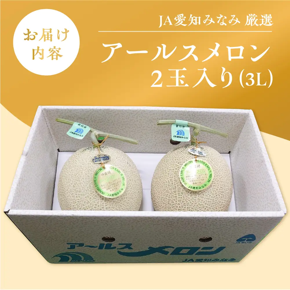 【先行予約】アールスメロン 2玉 メロン JA愛知みなみ
