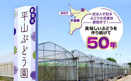 シャインマスカット 700g × 1房 シャインマスカット