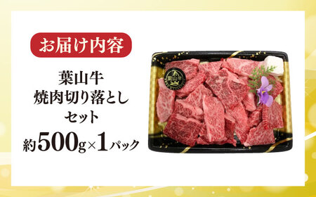 【冷蔵発送でお届け】 葉山牛 焼肉用切り落としセット 約500g 【JAよこすか葉山】[AKFO011]
