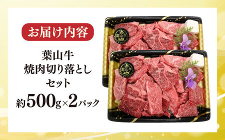 【冷蔵発送でお届け】 葉山牛 焼肉用切り落としセット 約1kg 【JAよこすか葉山】[AKFO012]