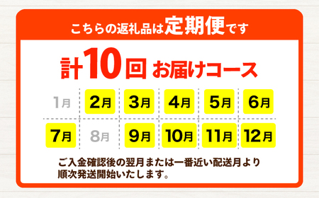 【年10回コース定期便】合志の旬のお野菜10?12品目 野菜定期便[AYAB013]