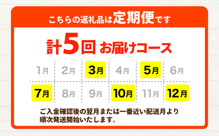 【年5回コース定期便】合志の旬のお野菜10品から12品目  野菜[AYAB020]