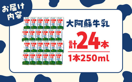 大阿蘇牛乳 250ml×24本入 牛乳[AYAB021]