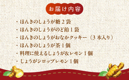 【ほんきのしょうが】はたらくオトナ女子のカラダケアセット詰合せ[AYAD007]