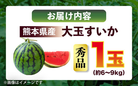 数量限定 大玉スイカ秀品1玉約6~9kg スイカすいか AYAT006