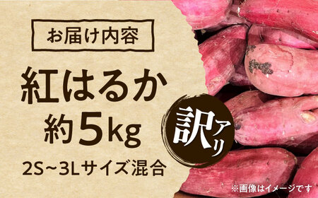 【訳あり】紅はるか さつまいも 約5kg 2S?3Lサイズ混合 さつまいも[AYAT010]