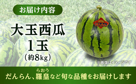 【2026年5月より発送 数量限定】大玉 西瓜 1玉入り 約8kg すいか[AYAU001]