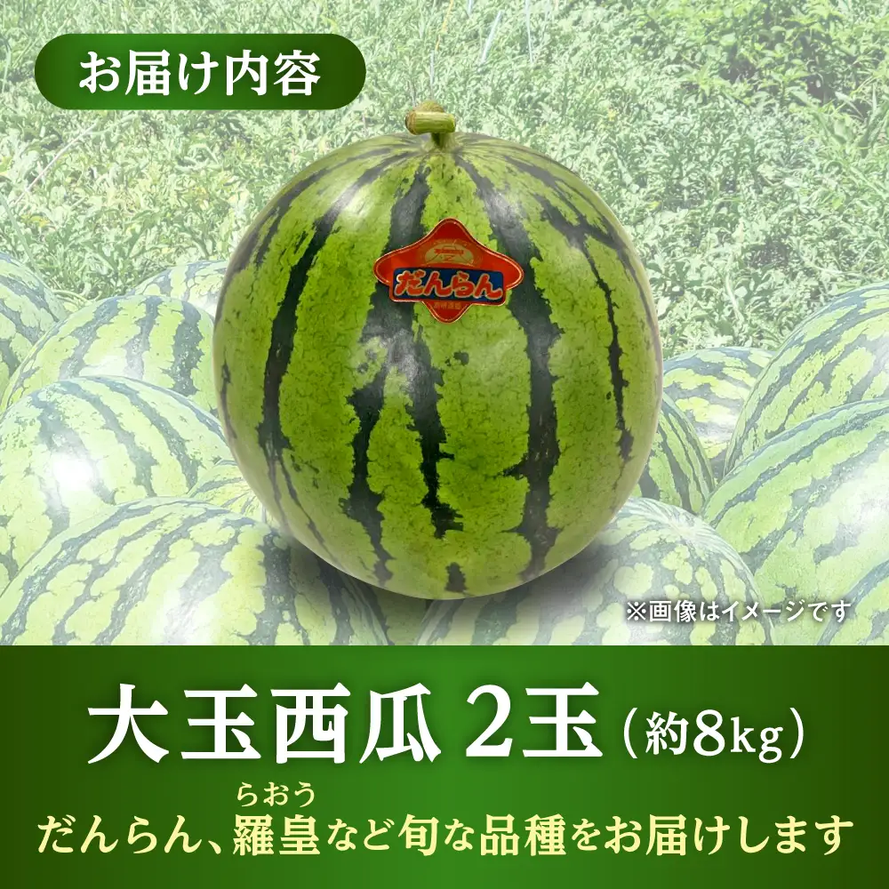 数量限定 大玉スイカ2玉計約16kg 西瓜スイカすいか AYAU002