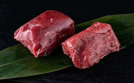 【全6回定期便】赤身馬刺し 約100g×2 計200g 赤身馬刺し 熊本県 [AYBV021]