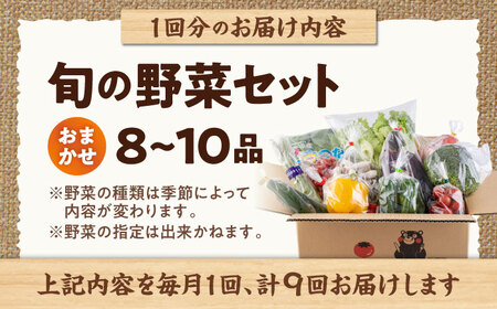 【全9回定期便】旬な野菜おまかせ詰め合わせセット 野菜 [AYCA005]