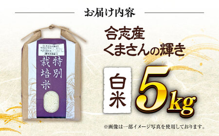令和7年度 くまさんの輝き 白米 5kg 米 5キロ[AYCC021] 