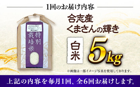【令和7年度】 【全6回定期便】 くまさんの輝き 白米 5kg 計30kg 白米 5キロ[AYCC029]
