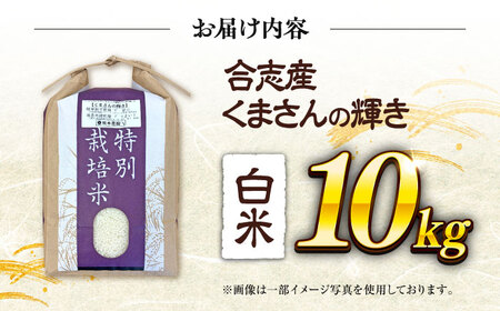 令和7年度 くまさんの輝き 白米 10kg 米 10キロ[AYCC035]