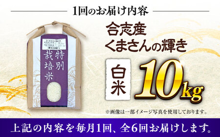 【令和7年度】 【全6回定期便】 くまさんの輝き 白米 10kg 計60kg 白米[AYCC036]