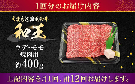 【全12回定期便】熊本県産 A5等級 黒毛和牛 和王 ウデ・モモ 焼肉用 約400g 計約4.8kg 焼肉[AYCH022]