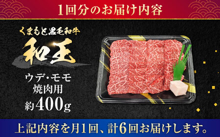【全6回定期便】熊本県産 A5等級 黒毛和牛 和王 ウデ・モモ 焼肉用 約400g 計約2.4kg 焼肉[AYCH026]