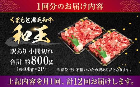 【全12回定期便】【訳あり】熊本県産 A5等級 和王 赤身肉 小間切れ 約400g×2P 計約9.6kg 牛肉小間切れ [AYCH085]