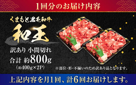【全6回定期便】【訳あり】熊本県産 A5等級 和王 赤身肉 小間切れ 約400g×2P 計約4.8kg 小間切れ [AYCH088]