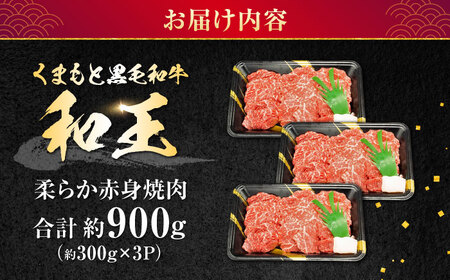 A5等級 黒毛和牛 柔らか赤身焼肉 約300g×3P 計約900g 焼肉 [AYCH094]