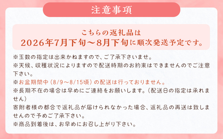 幸水梨 約3kg 5～8玉【2026年7月下旬から8月下旬発送】 ナシ 梨 果物 フルーツ 福岡県産