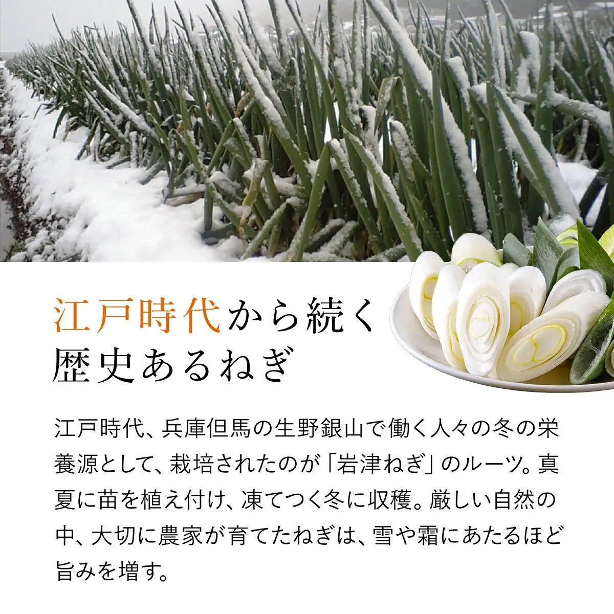 岩津ねぎラー油【3個セット】道の駅人気No1 食べるラー油 ネギ