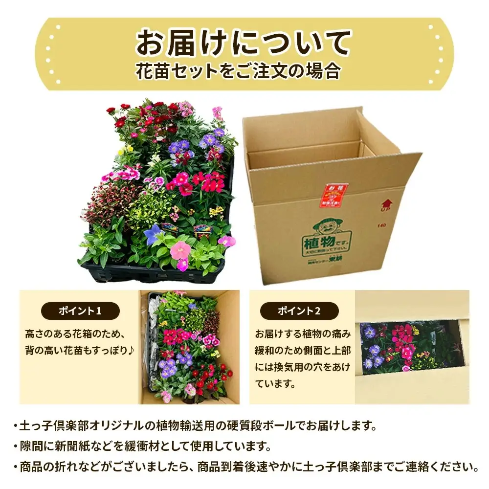 季節の花苗24セット【花苗 花苗セット 花 季節の花 花セット ガーデニング 家庭菜園 園芸 初夏 夏 花壇 庭 鉢 玄関 プランター 寄せ植え おうち時間 趣味 ベランダ 土っ子倶楽部 プレゼント ギフト 】【価格改定】