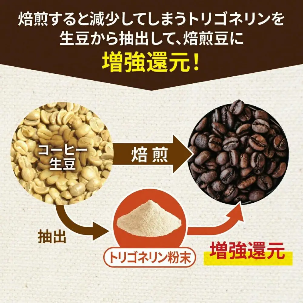 トリゴネージコーヒー 3種セット (ブルーマウンテン、モカ、スペシャル)