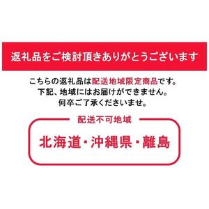 2026年 くぼ農園 ぶどう セレクション 4～5房（合計約3.0kg）｜ ぶどう