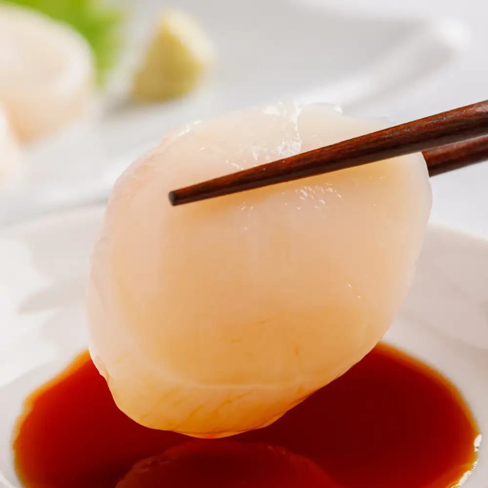 北海道オホーツク海産 大玉帆立貝柱 500g SRMR001 | 帆立