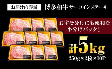 【訳あり】博多和牛 サーロインステーキ 5kg[BGAB015]大容量 ステーキ