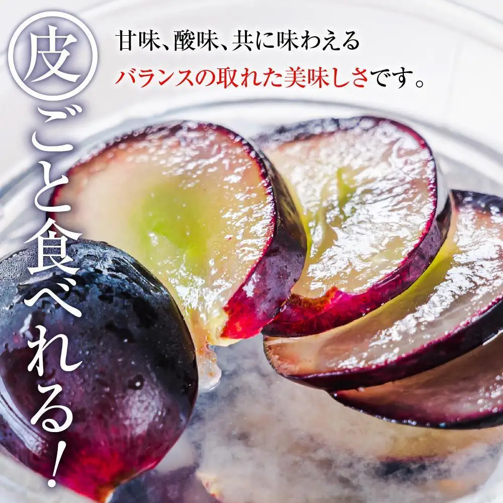 【先行予約】2026　ナガノパープル　【訳あり粒抜け等】　房複数　約1kg弱　長野県産  【10月初旬頃～順次発送予定】国際特許有機肥料栽培