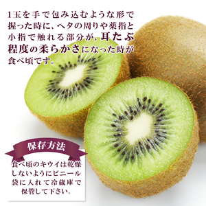 〈2026年度配送分〉山梨県産キウイ(ヘイワード) 約3.5kg 20～27玉入り
