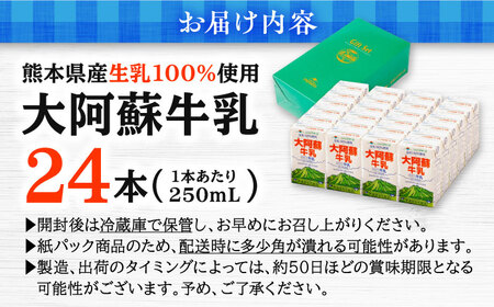 大阿蘇牛乳 250ml（24本入り）牛乳[AYCB028]