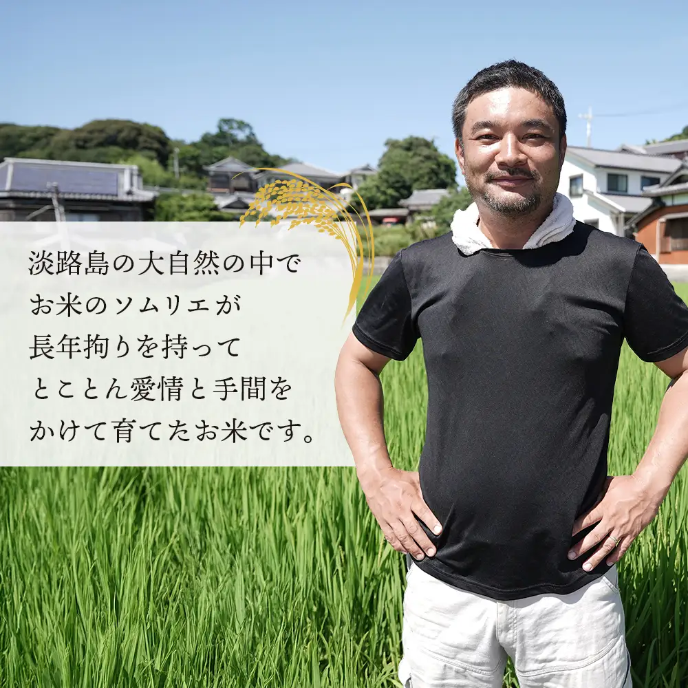 【定期便】野添農園のキヌヒカリ 5kgｘ6ヶ月 白米