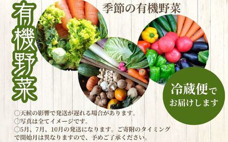 定期便 全3回 季節の有機野菜セット【一般社団法人二本松有機農業研究会】