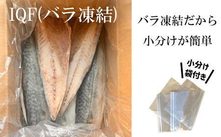 さば 金華サバ 半身13枚 無塩 鯖