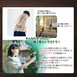 E101 培養土　【植え替え土セット】　観葉植物の土　4号