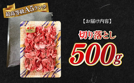 牛肉 A5等級 飛騨牛 切り落とし 500g [ANGY011] 牛肉