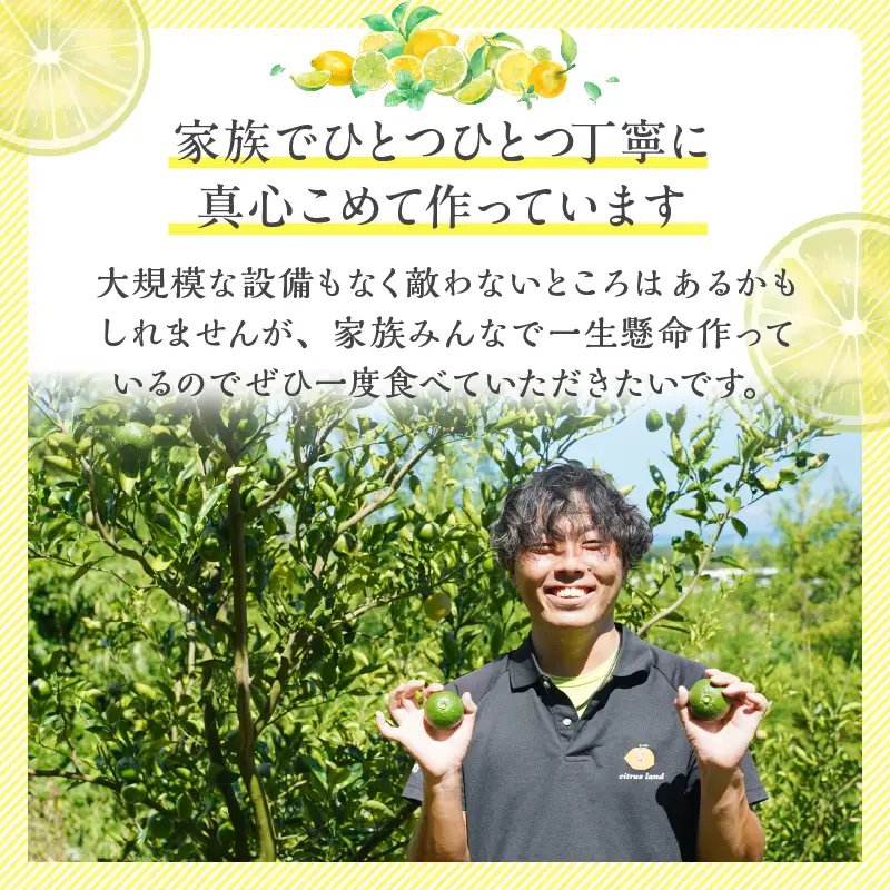 先行予約≪期間限定≫都農町産「鶯宿梅(Lサイズ)」計5kg 梅 梅干し 果物 国産_T008-014