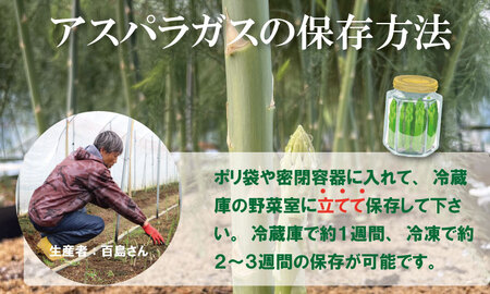 採れたて新鮮！アスパラガス（2kg）百島農園 生産者直送 野菜 B120-034
