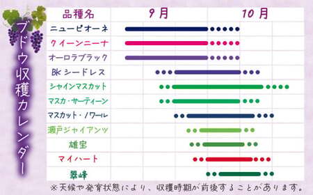 【2026年先行予約】ぶどう 岡山 花笑み農園の『BKシードレス』1kg（2～3房） 【hana027-03】