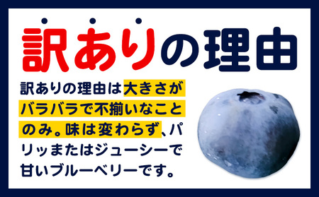 訳あり 数量限定 ブルーベリー 1kg ブルーベリー
