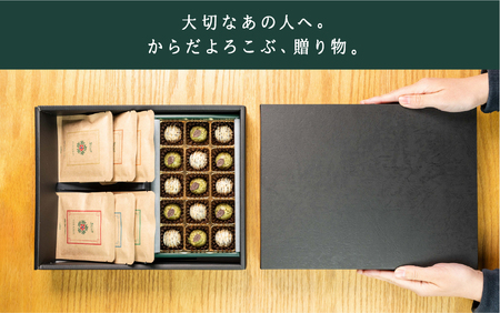 チョコクランチ＆ドリップコーヒー ギフトボックス小 クランチチョコ 飛騨の森のめぐみグラノーラ メナモミチョコクランチ＆エゴマと黒マメのホワイトチョコクランチ 菓子 スイーツ 珈琲 ギフト プレゼント 贈り物[Q2831]