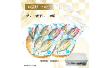 四万十鮎 一夜干し 12尾セット アユ 干物 国産 無添加 冷凍 四万十町 高知 ／Ess-14