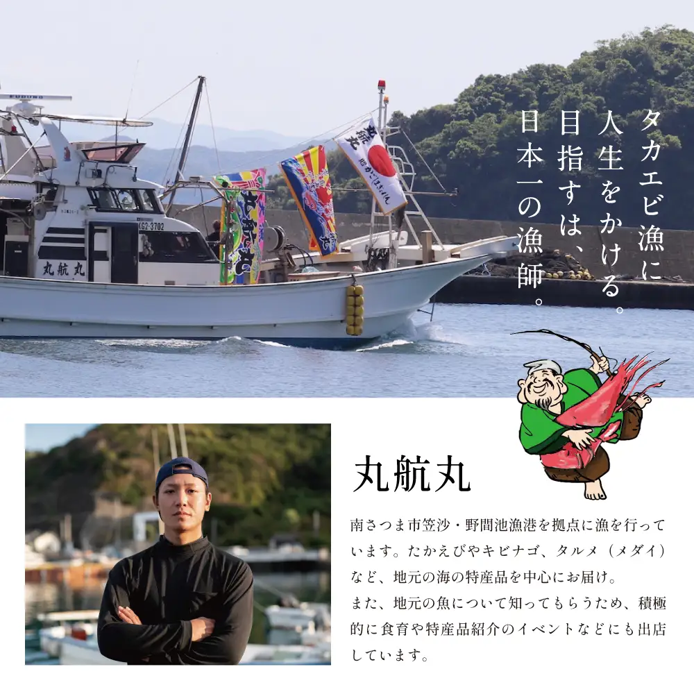 【数量限定】鹿児島県産 天然たかえび（生食用） 約1kg ［Mサイズ］ 薩摩甘エビ ヒゲナガエビ 刺身 海鮮 海老 海鮮丼 塩焼き 冷凍 丸航丸 南さつま市 野間池