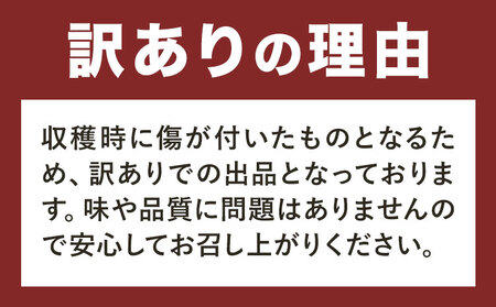 訳あり たけのこ 水煮 小分け 詰め合わせ 九州産 計約5.25kg 3ヶ月定期便（毎月） 北薩農産加工場《お申し込み翌月から出荷》鹿児島県 さつま町 送料無料 惣菜 タケノコ 筍 竹の子 パック 水煮 お取り寄せグルメ