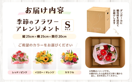 選べるカラー 季節のフラワーアレンジメント S (レッド・ピンク) 【お花 フラワー アレジメント 花束 ギフト 生花 プレゼント 花束 花 記念日 敬老の日 お祝い】 [A-20701_01]