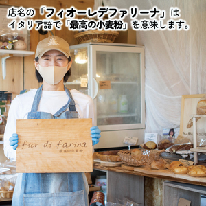 食パン 3斤 パン 天然酵母 国産 小麦  【 食パン 】