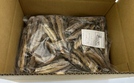 高知県産 ハダカイワシ干物 約1kg / 高知 ハダカイワシ イワシ いわし 魚 干物 冷凍 【ワクトフーズ】[ATHF001]